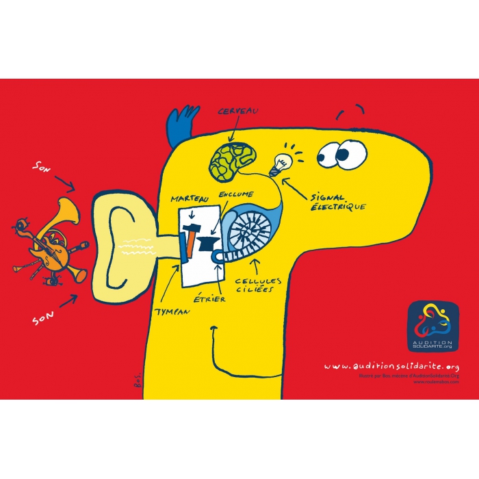 Affiche ludique "Oreille"